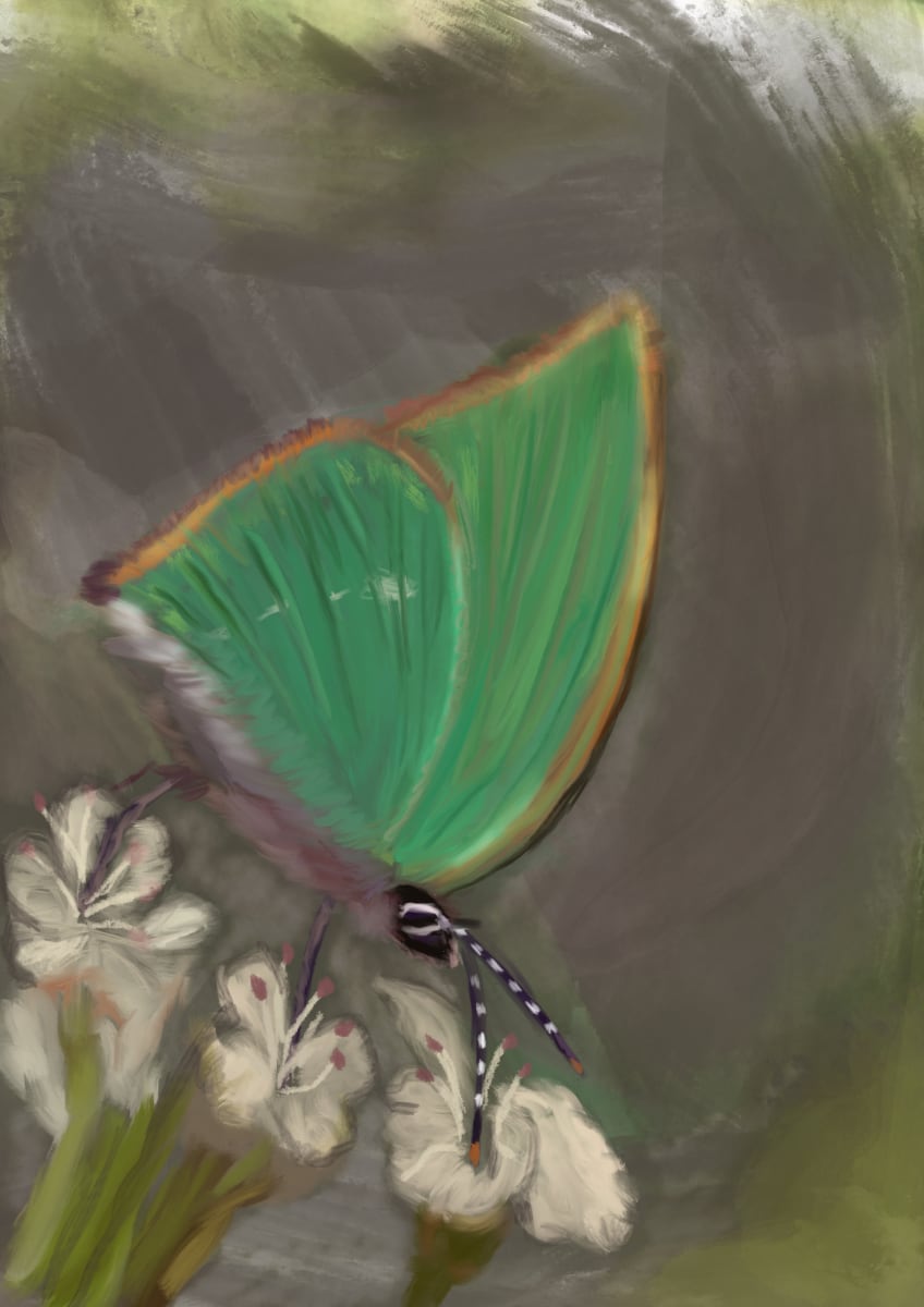 ART152 A_borboleta by Bella Moraes ArtWork 