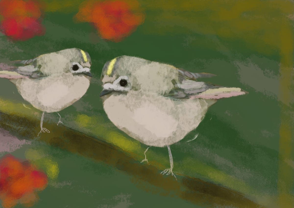 ART262 Birds_imagination by Bella Moraes ArtWork 