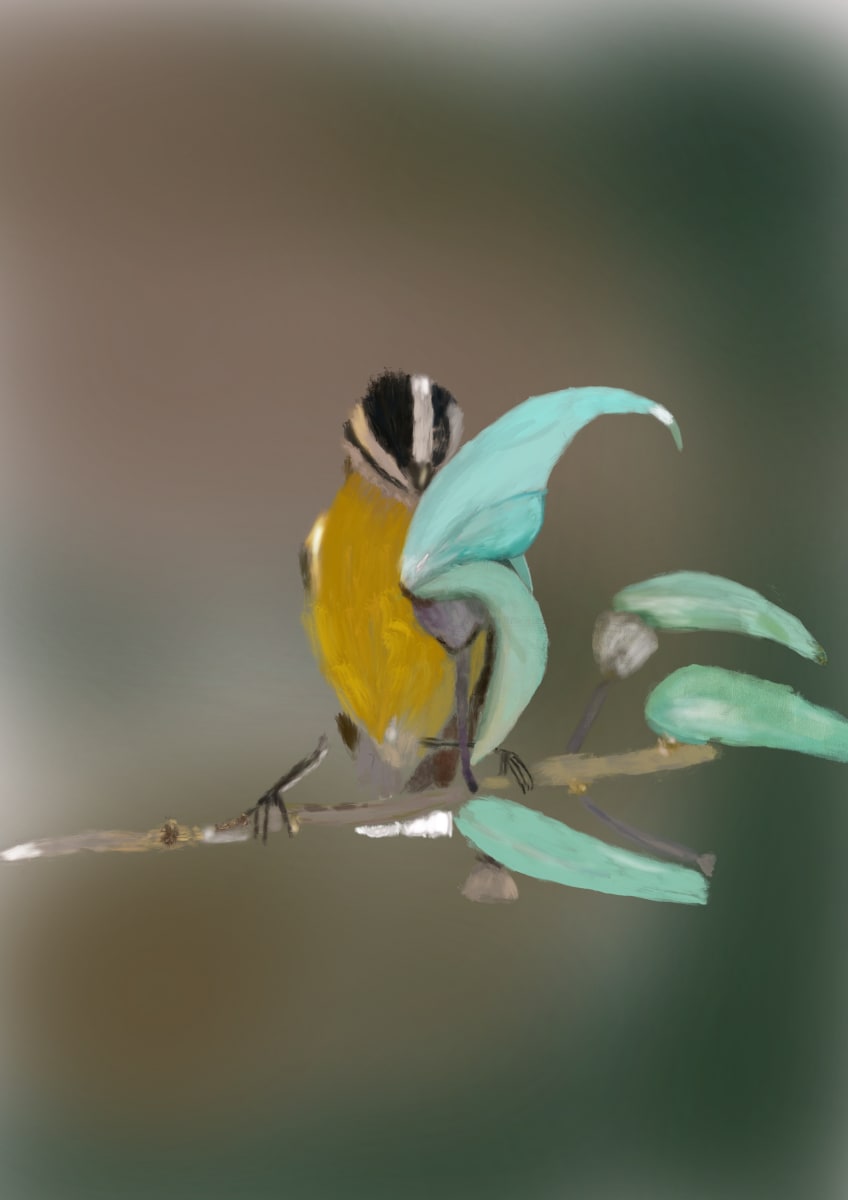 ART255 Bluetit by Bella Moraes ArtWork  Image: Inspirado em fotografias