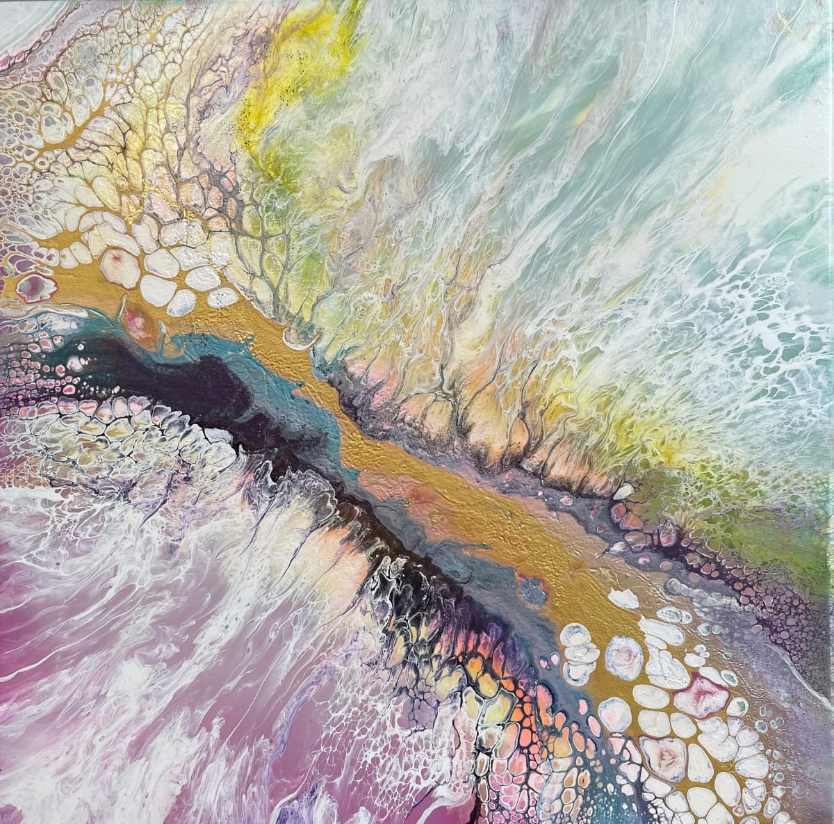 Seashells by Beth Miller 