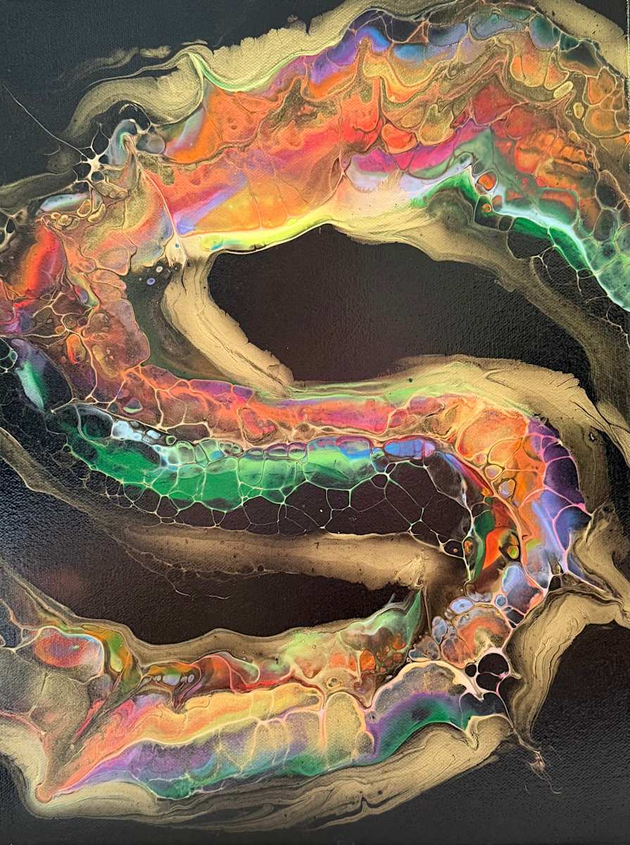Aurora Vein - Gallery Wrapped w/Black Frame by Beth Miller, Image 1.