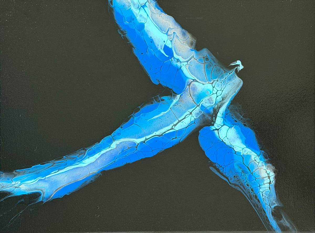 Bluebird by Beth Miller, Image 1.