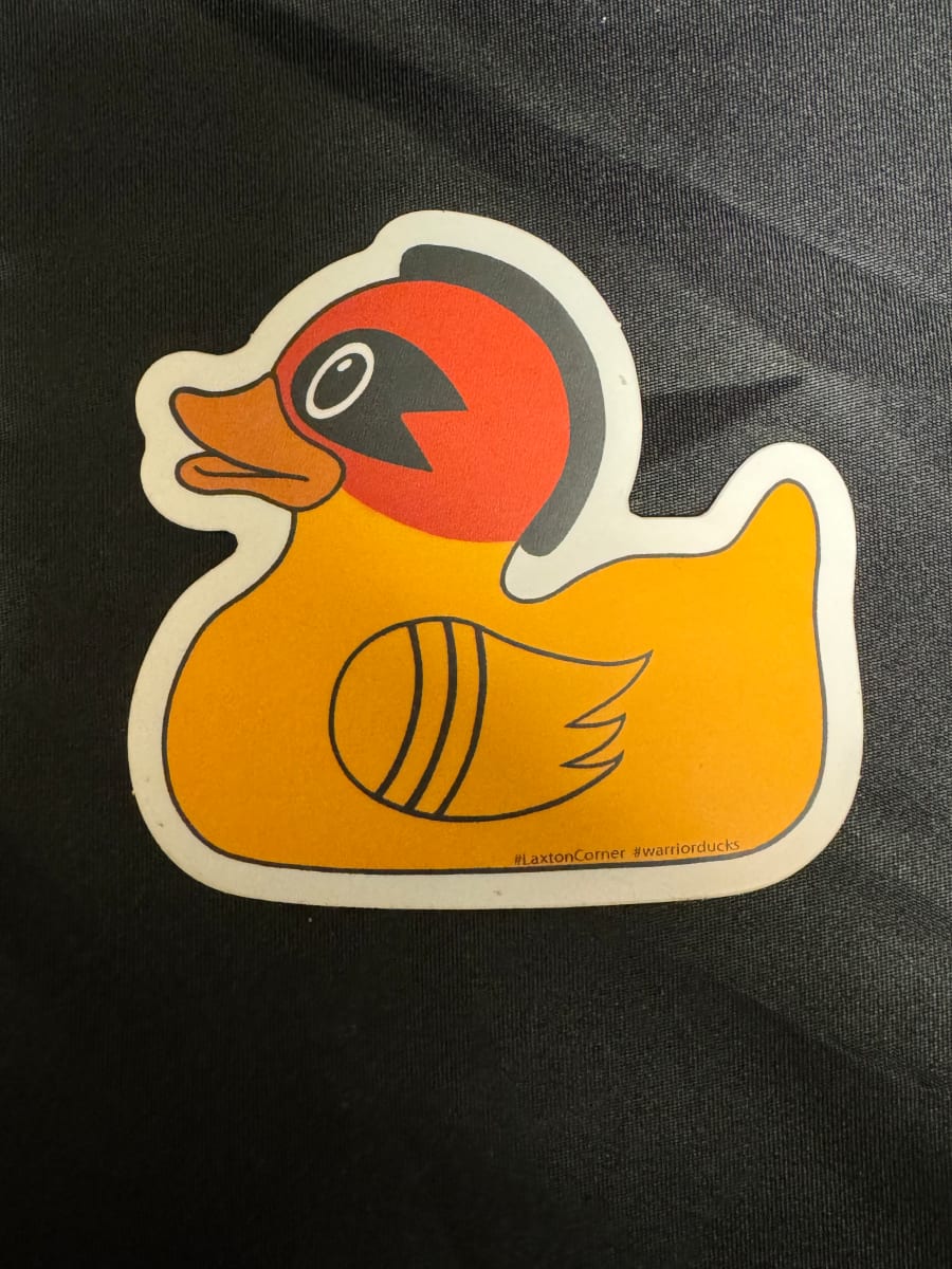 Warrior Duck #4 by Jay Laxton 