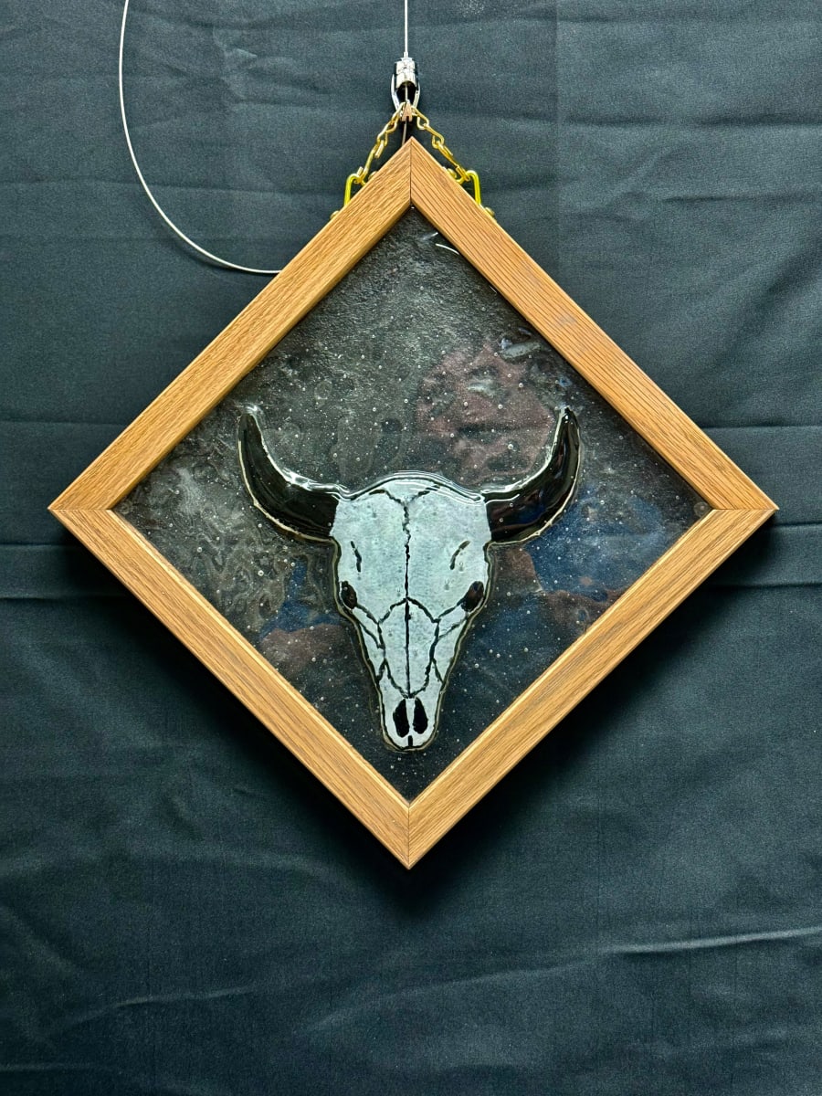 Bison by Jay Laxton 