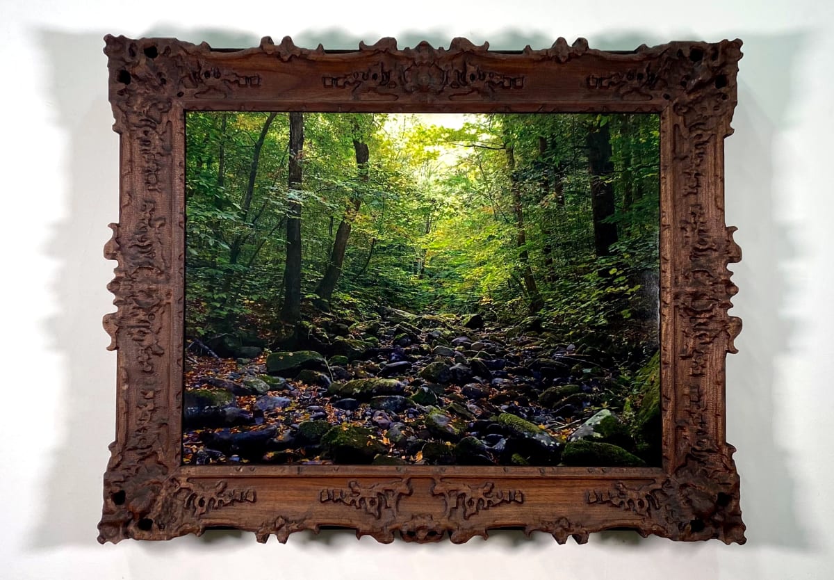 Black Brook, Balsam Lake Mountain Wild Forest, Ulster County, New York by Mark Tribe Studio 