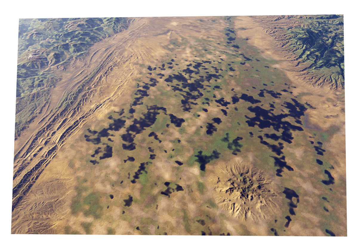 Colusa by Mark Tribe Studio 