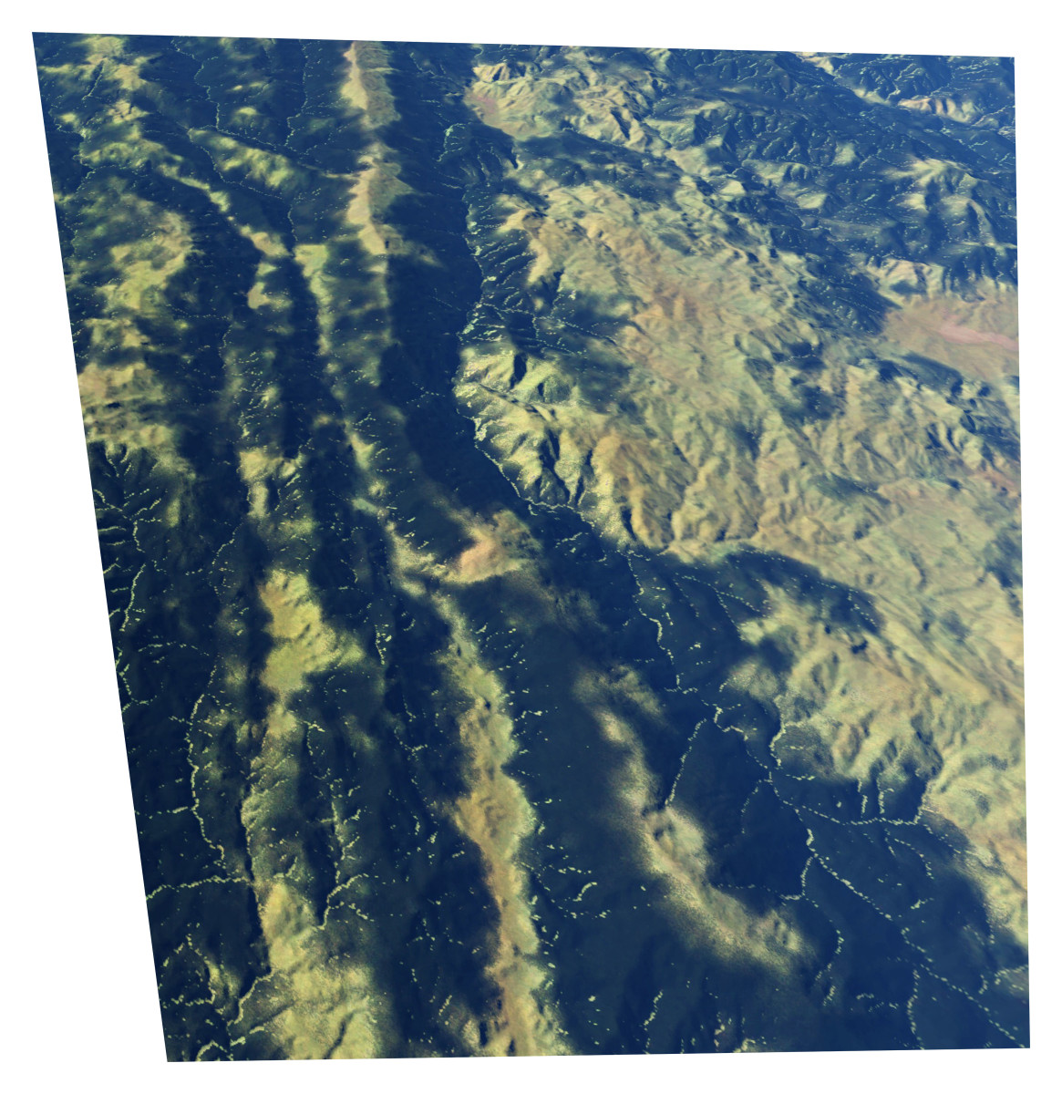 Humboldt by Mark Tribe Studio 