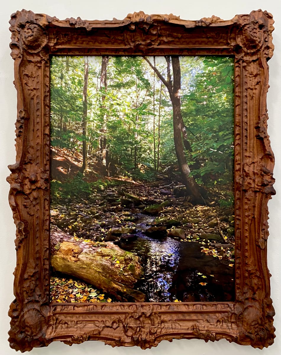 Alder Creek, Balsam Lake Mountain Wild Forest, Ulster County, New York by Mark Tribe 