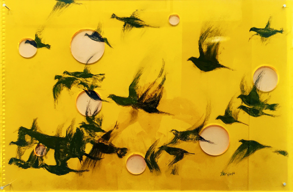 After Medium Cool by Mark Tribe Studio 