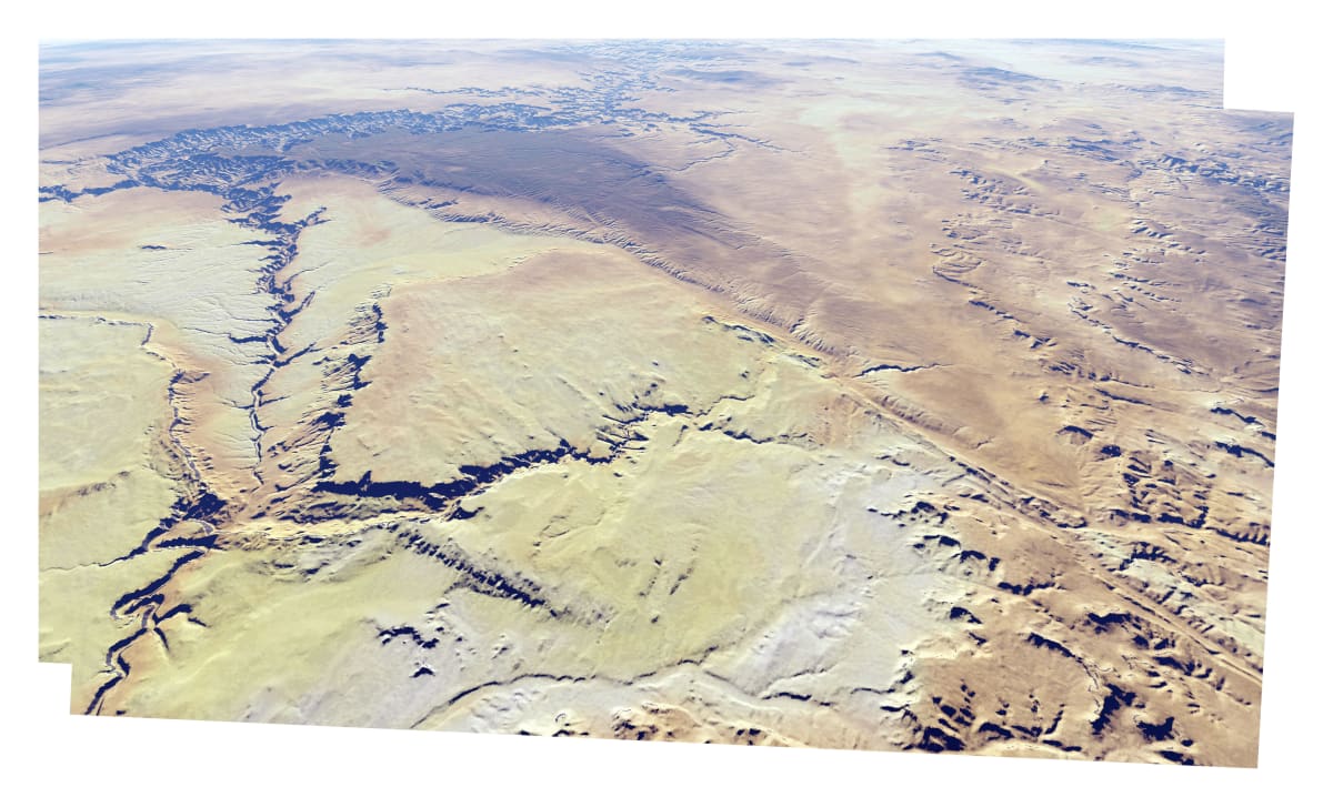 Kane by Mark Tribe Studio 