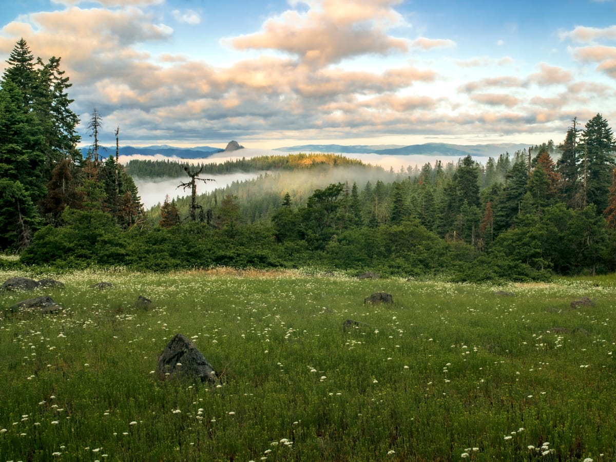 Morning Fog, Cascade-Siskiyou National Monument, Jackson County, Oregon by Mark Tribe Studio 