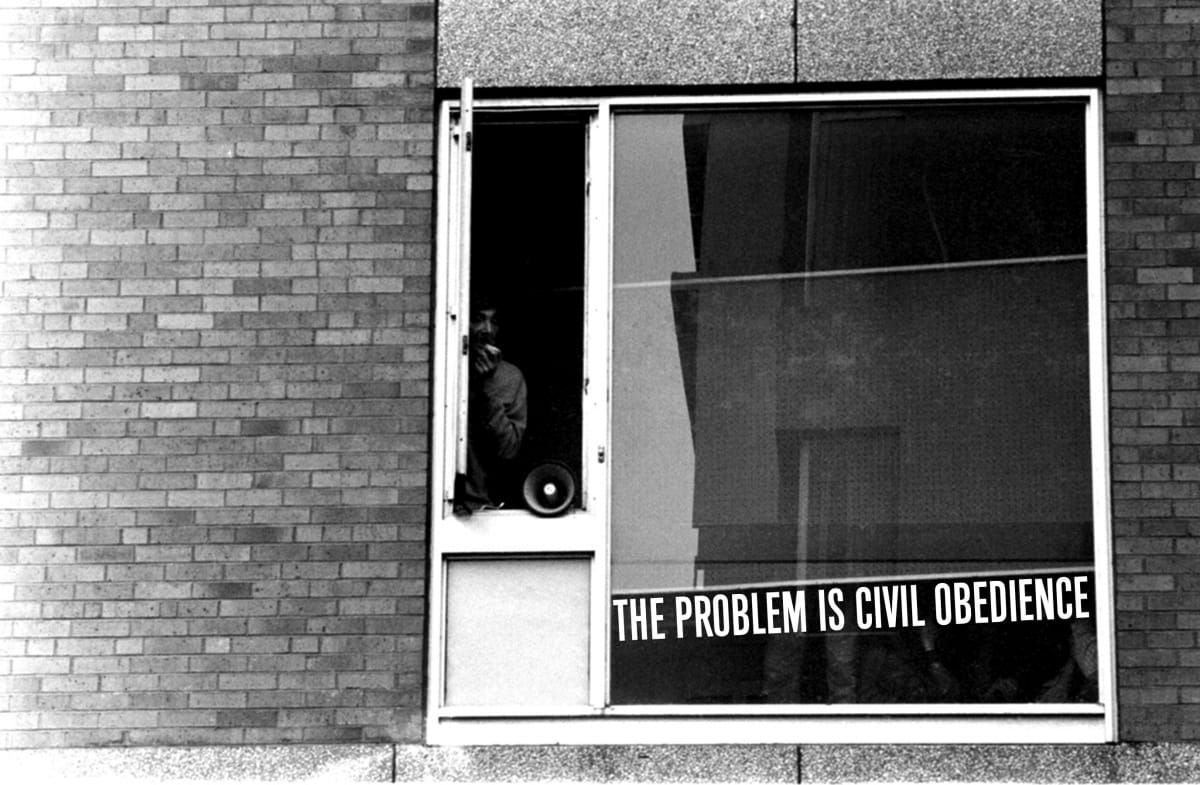 Zinn by Mark Tribe Studio 