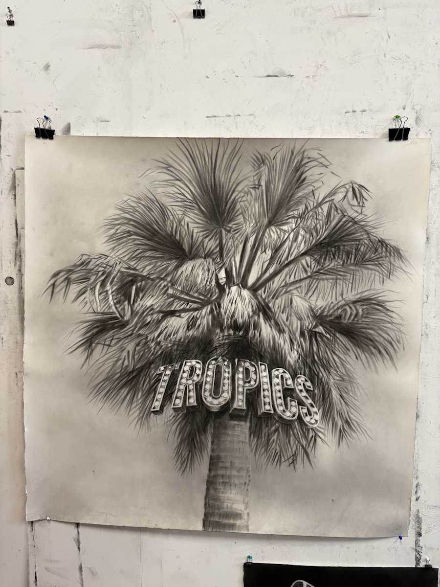 Tropics by Gonzalo Fuenmayor 