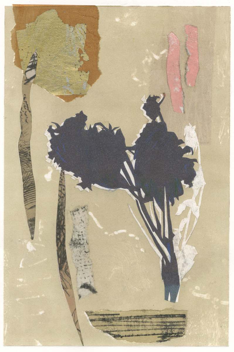 untitled 006 by Diane Bigda 