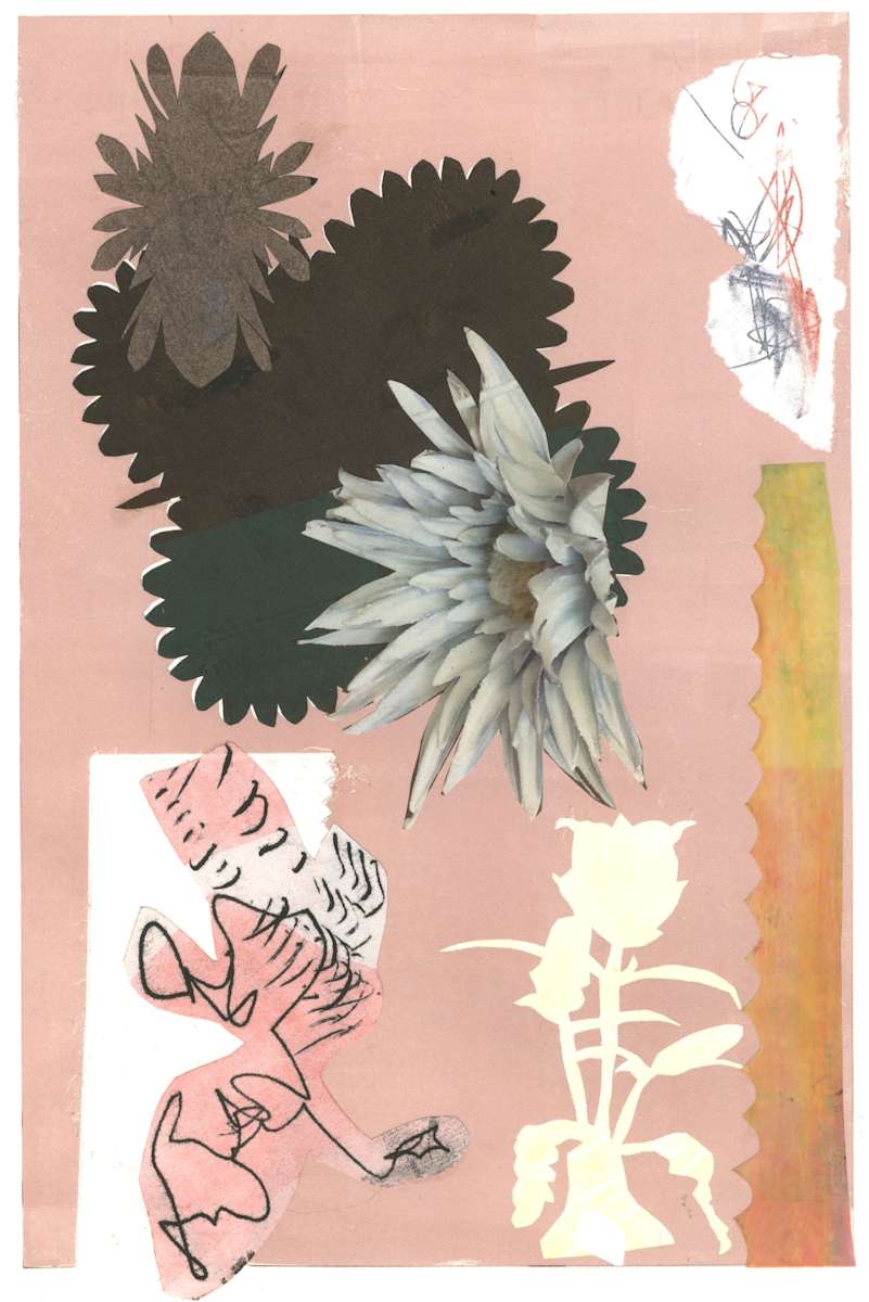 untitled 008 by Diane Bigda 