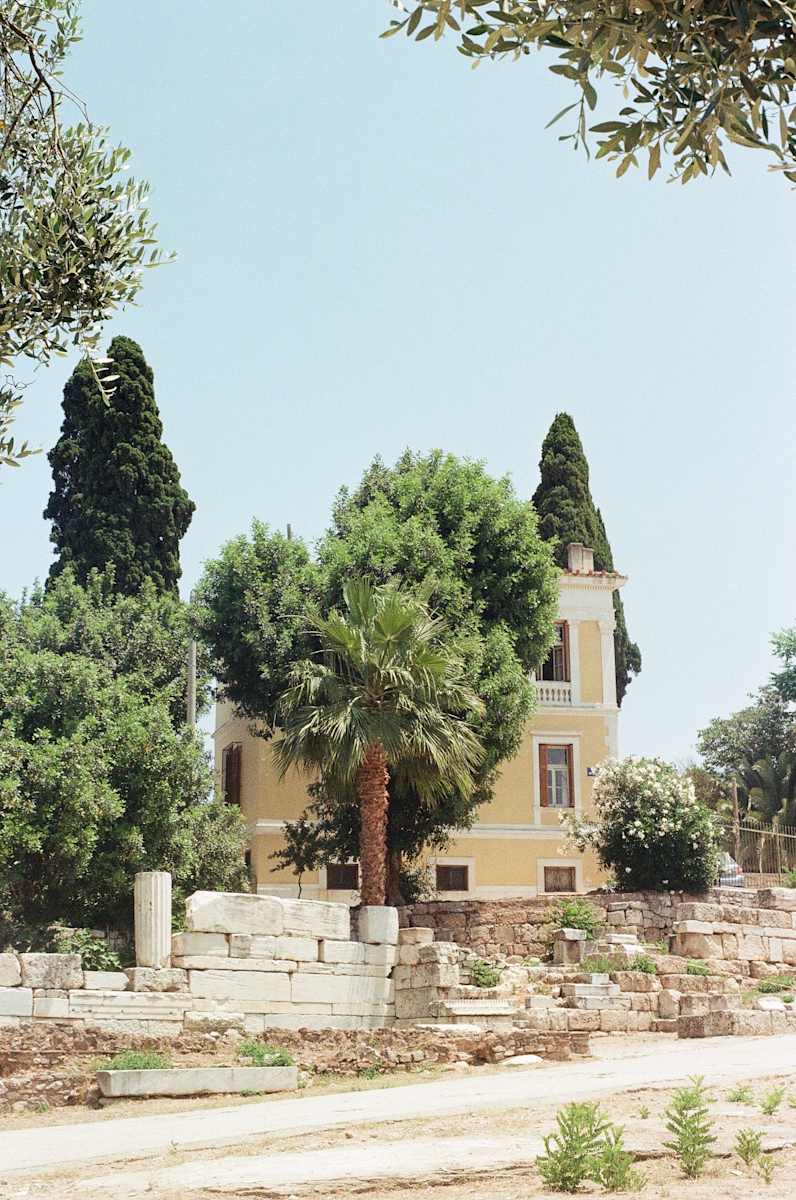 Yellow House With Tree by TJ Reiter 