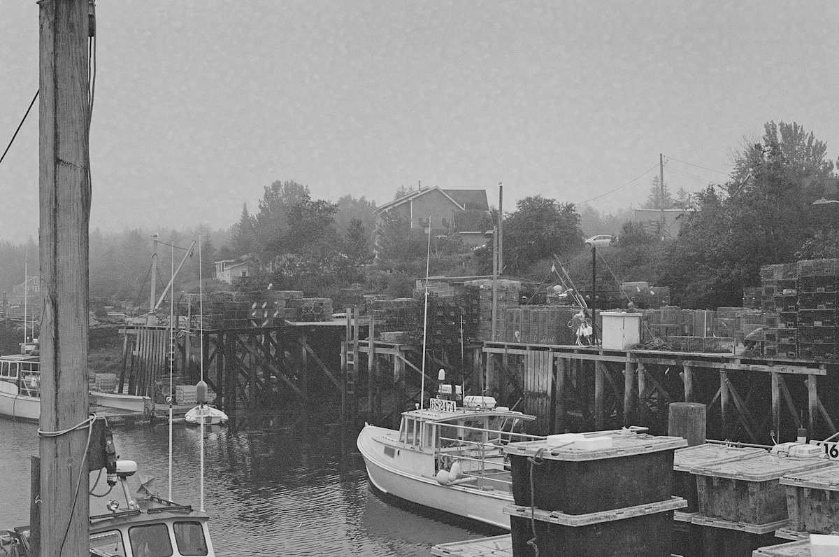 Family Business by TJ Reiter 