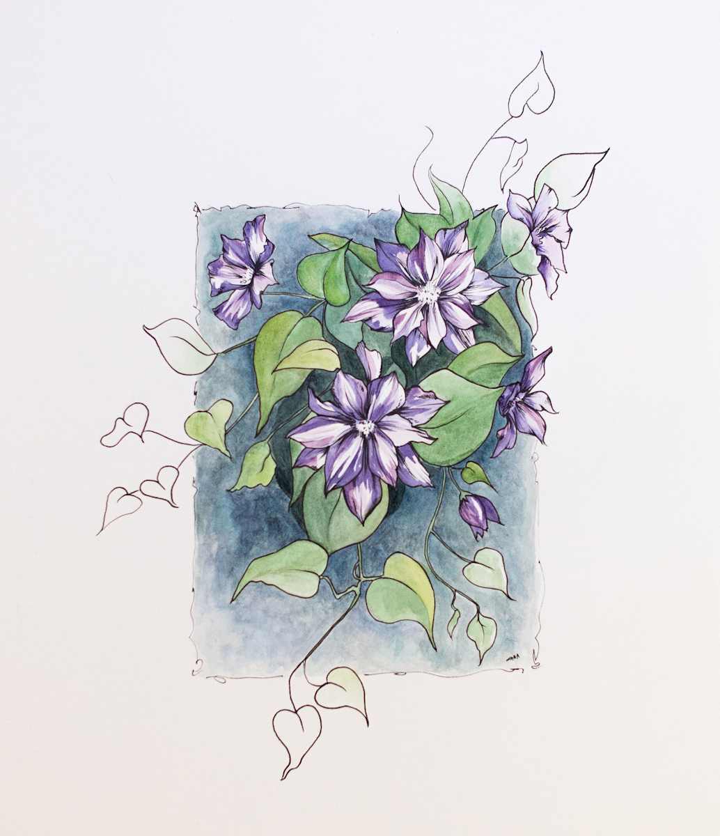 Untamed Clematis by Cara Beaudette 