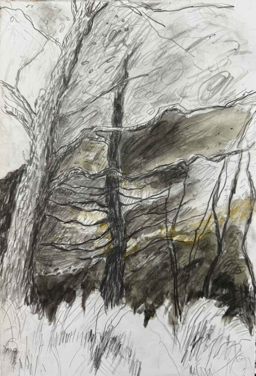 Blustery dusk, Walpole, MA. by Emily Vickers 