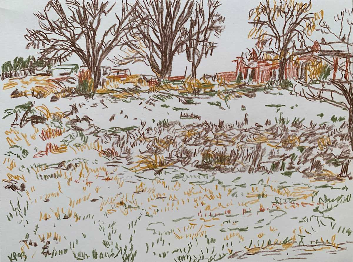 Witchy grasses Taos by Kathy Parker 