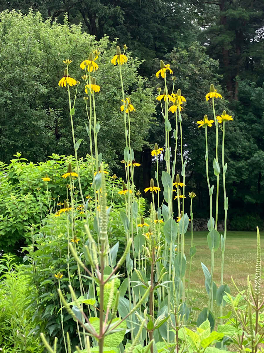 Reaching by D Bramante 