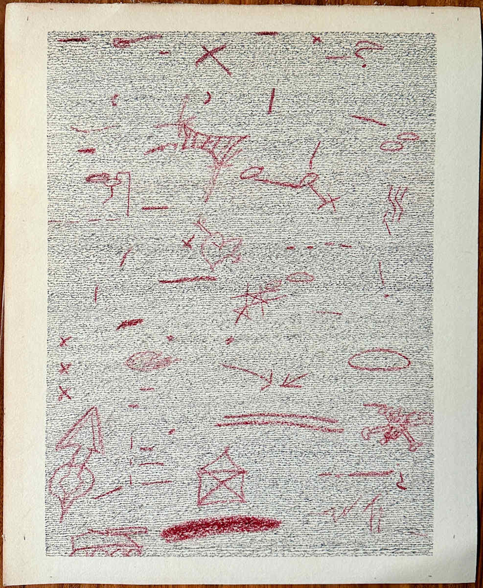 Write Your Own Constitution by Vincent Hawley 