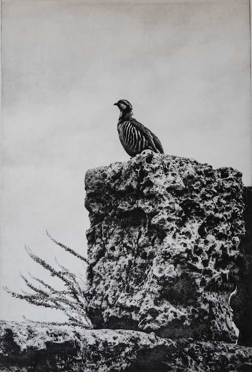 The Sentry by Judy Bergman Hochberg 