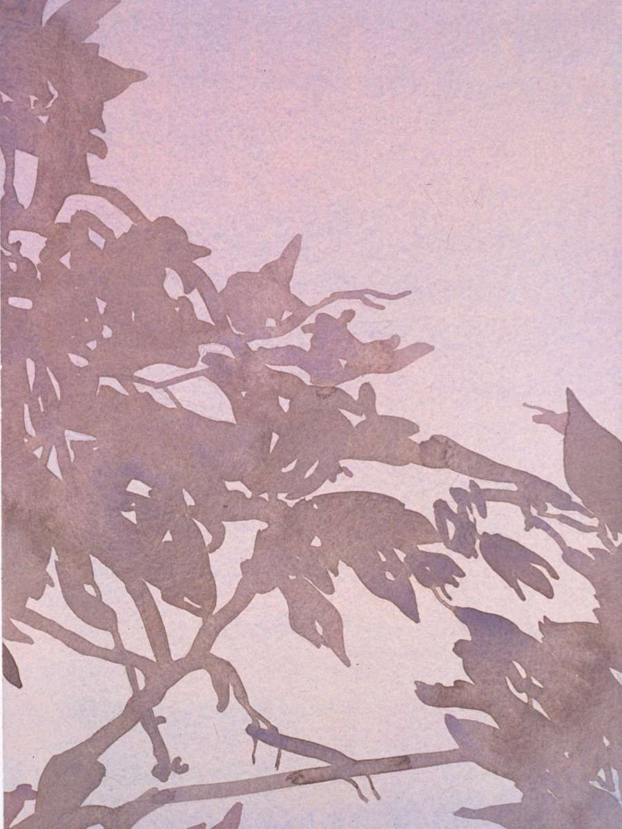 Fleeting Shadows by Susan Swinand 