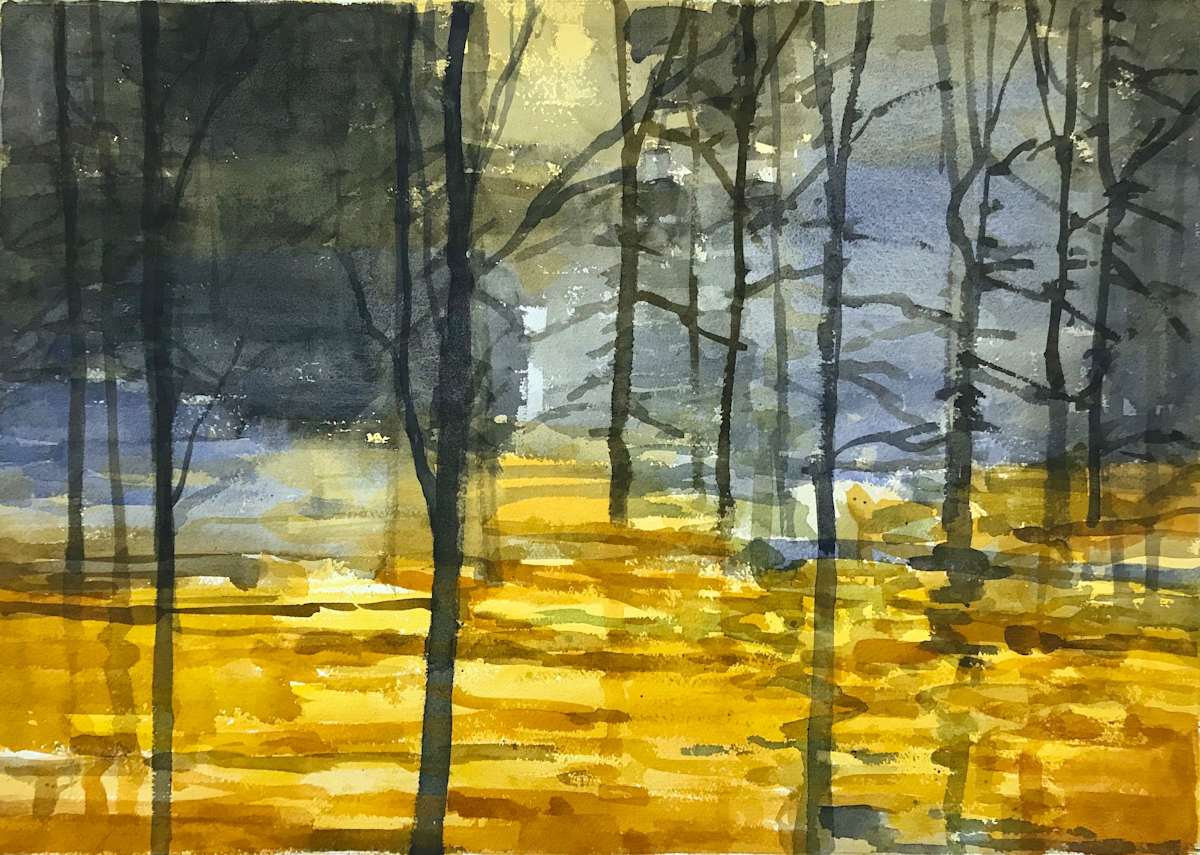 Coastal Fog by Robert Baart 