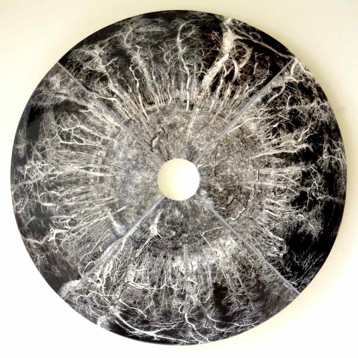 Truro Woods by Warren Mather 