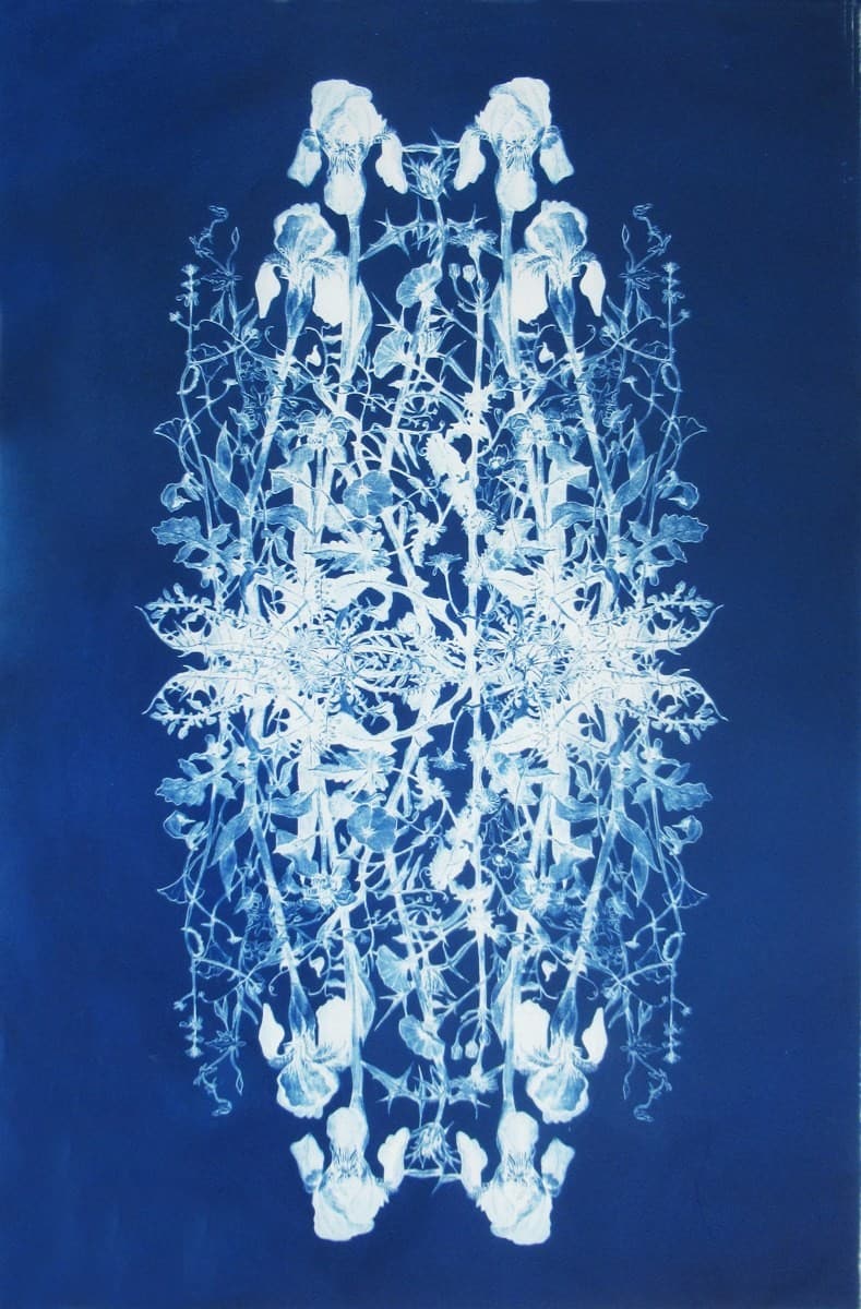 May Four Times by Judith Allen-Efstathiou 