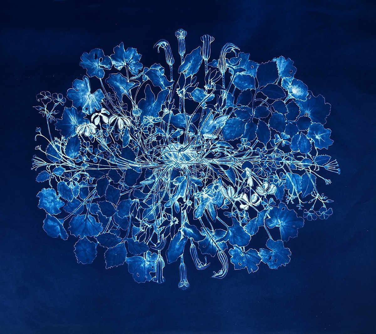 January in the Round by Judith Allen-Efstathiou 