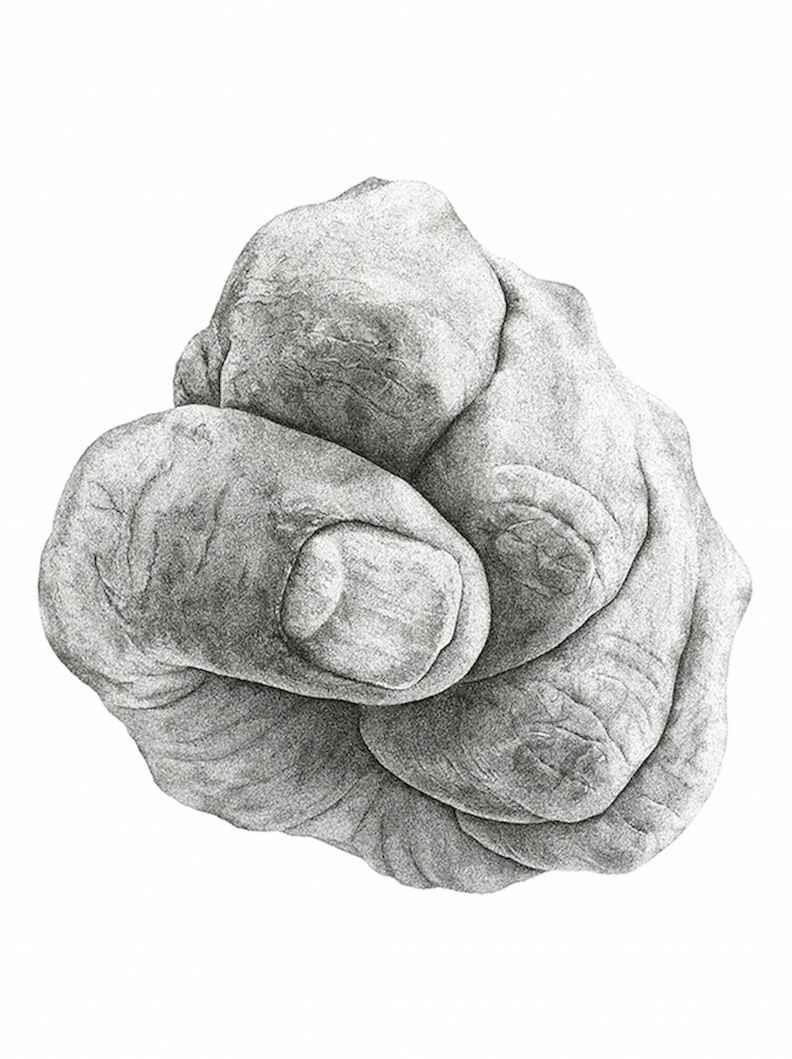 9 Months of Building by Steven Buduo 