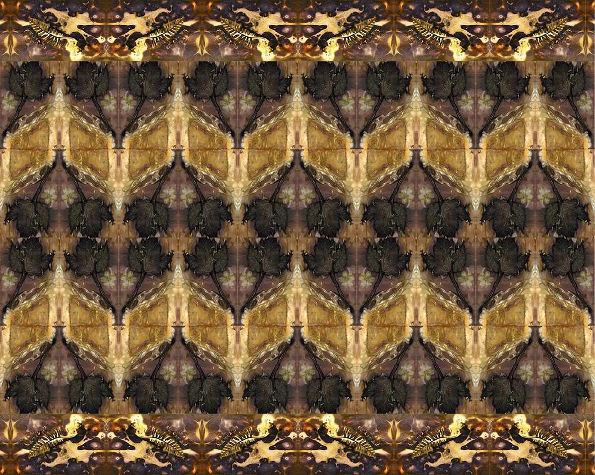 Creatures of the Forest 569 by Lydia Harris 