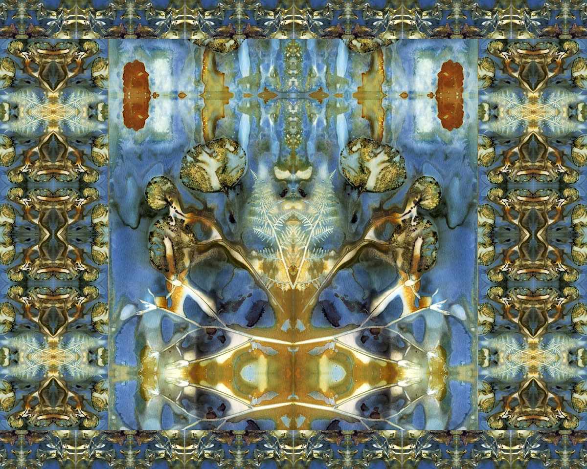 Creature of the Forest 101 by Lydia Harris 