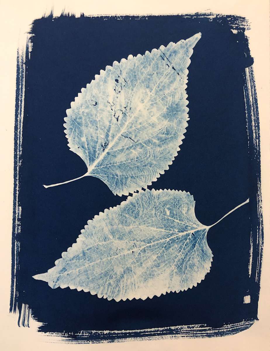 Two Leaves (Copperleaf) by Mary Pinto 