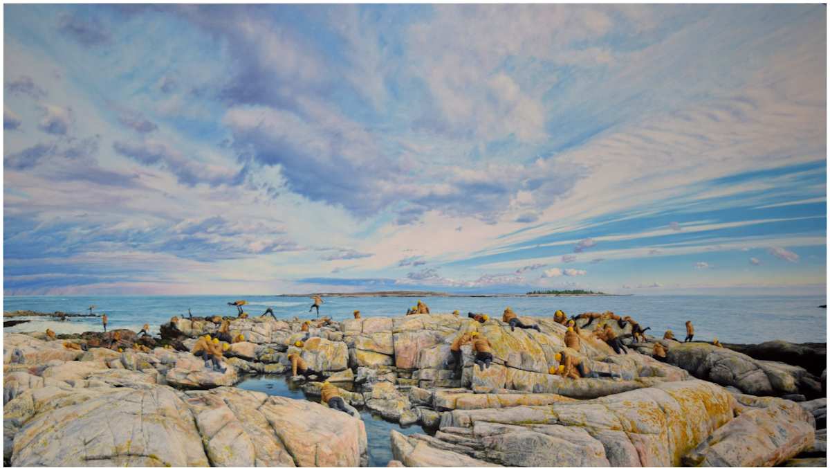 Untitled (Schoodic Peninsula) by Cobi Moules 