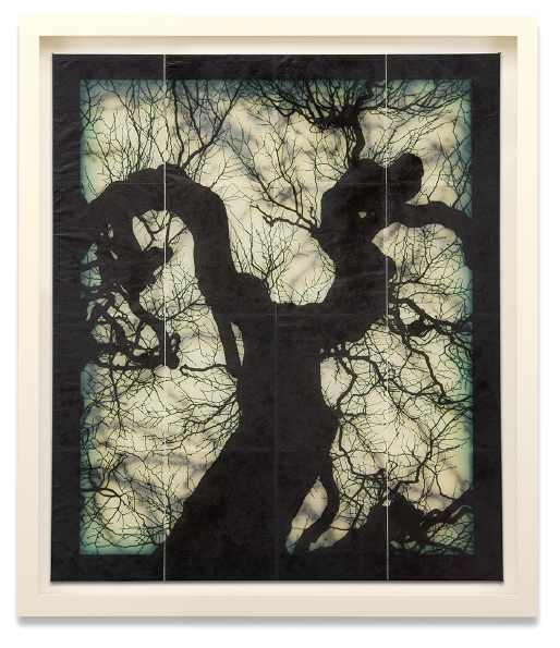 Structure of Thought 24 by Doug and Mike Starn 