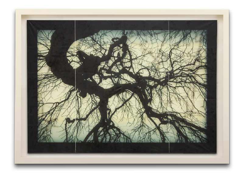 Structure of Thought 26 by Doug and Mike Starn 