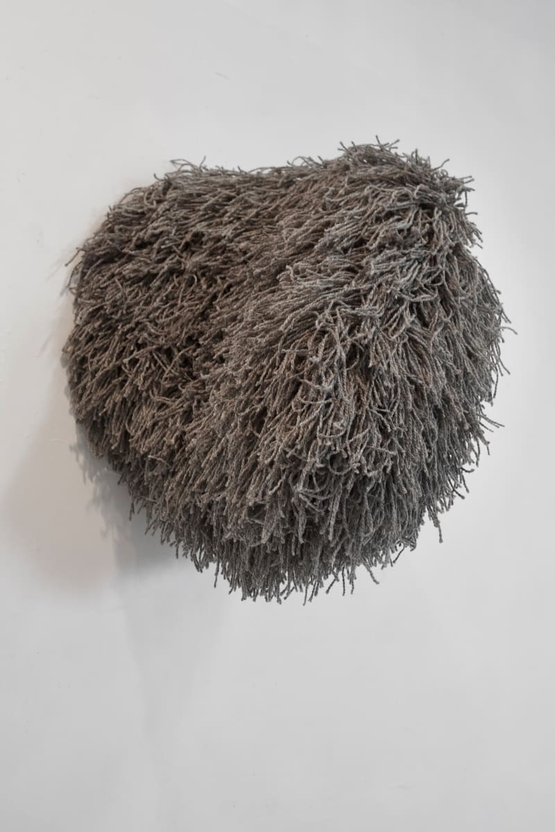 How Does A Fern Make A Thunderstorm by Jonathan H Alfaro, Image 5.