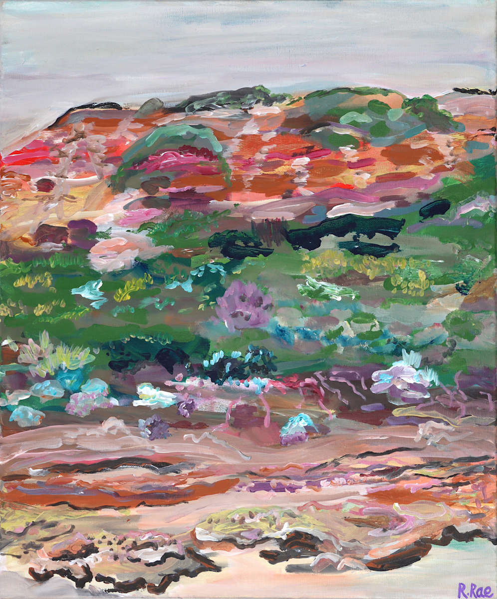 The Coloured Cliff by Rachel Rae, Image 19.