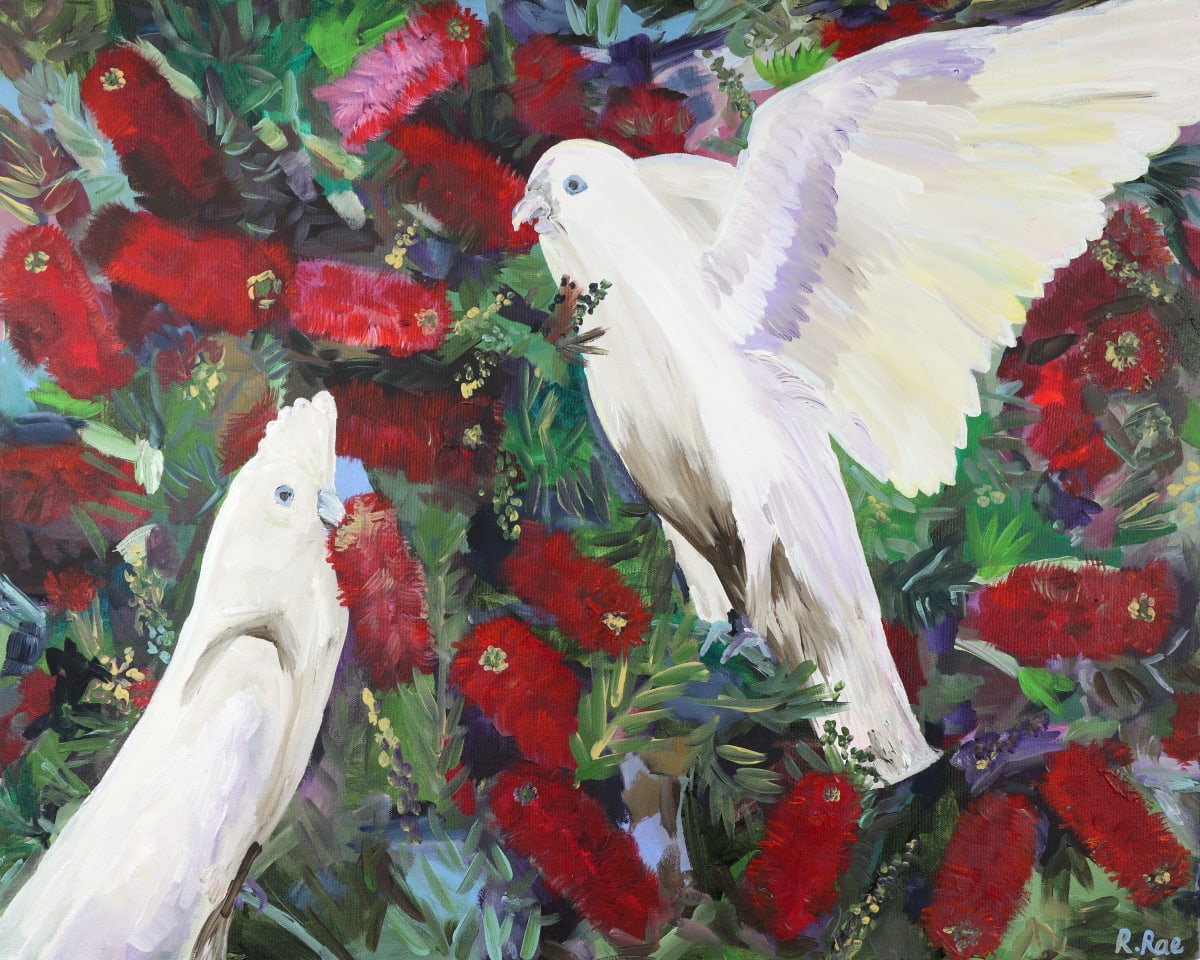 White Corellas in the Red Bottle Brush by Rachel Rae 