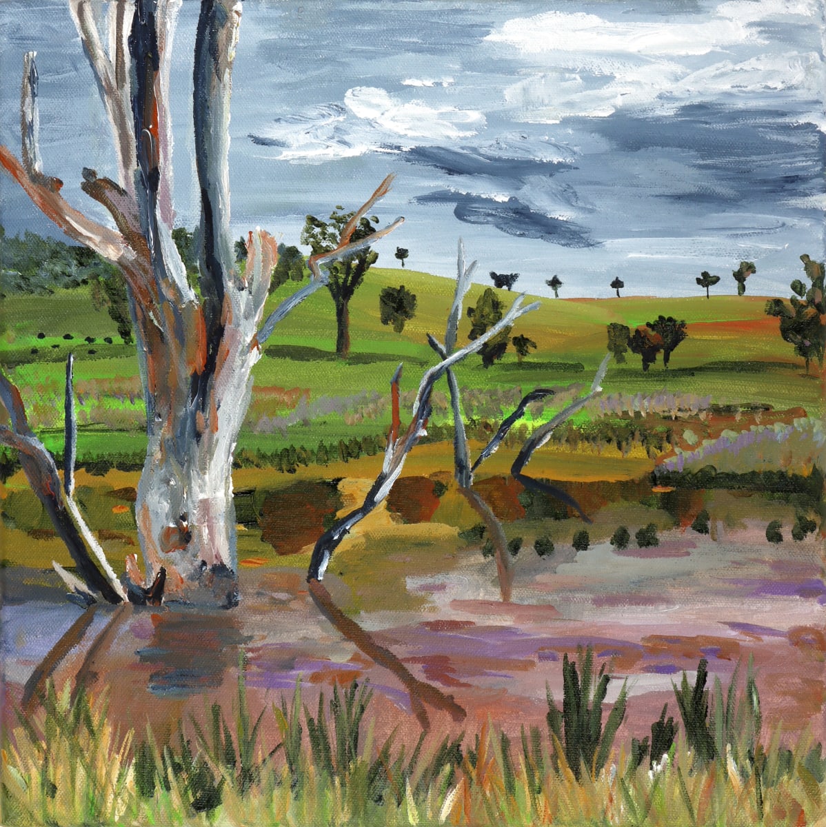 Farmstay Reflections by Rachel Rae 