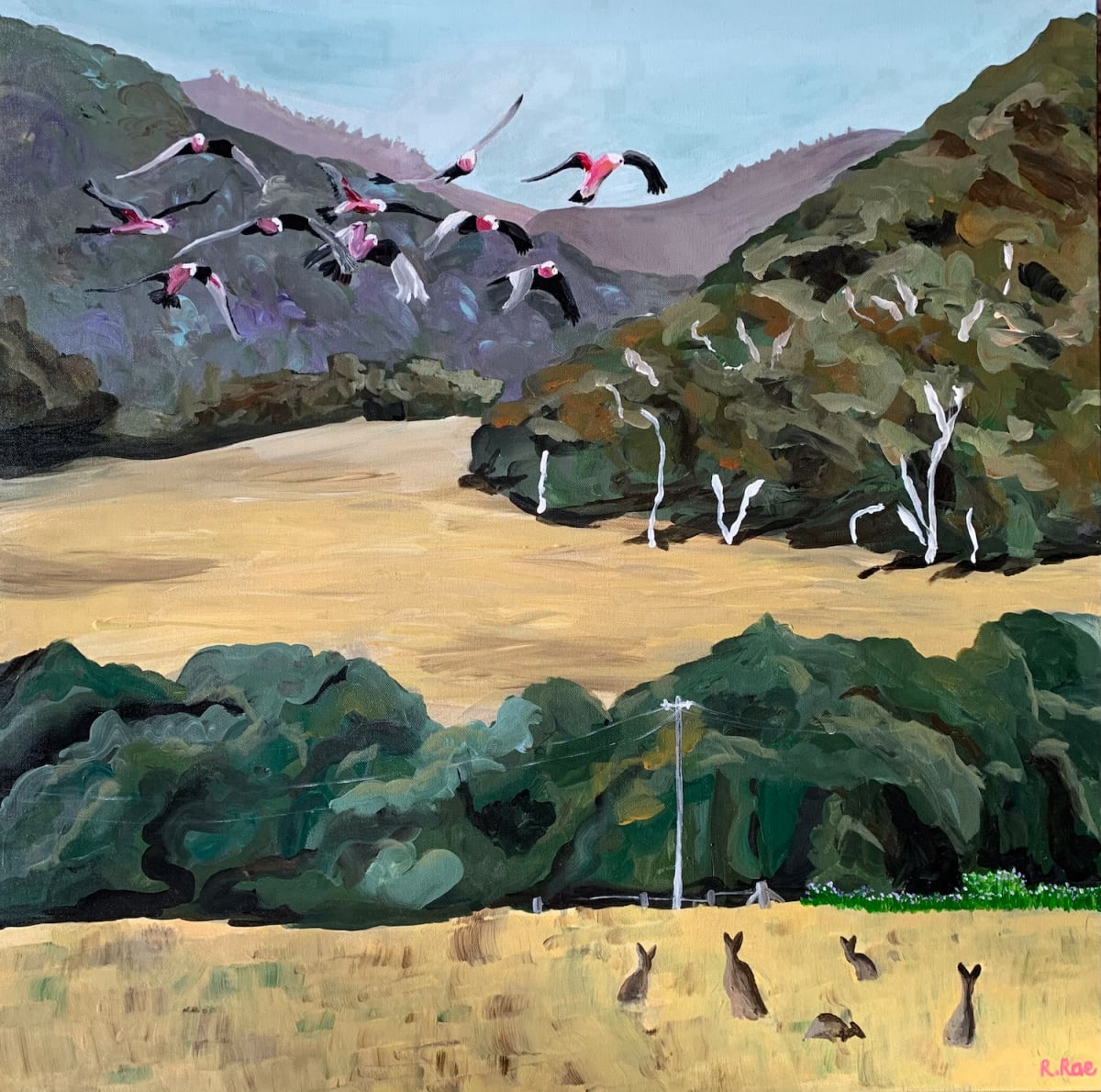 Mt Beauty - Kiewa Valley by Rachel Rae 