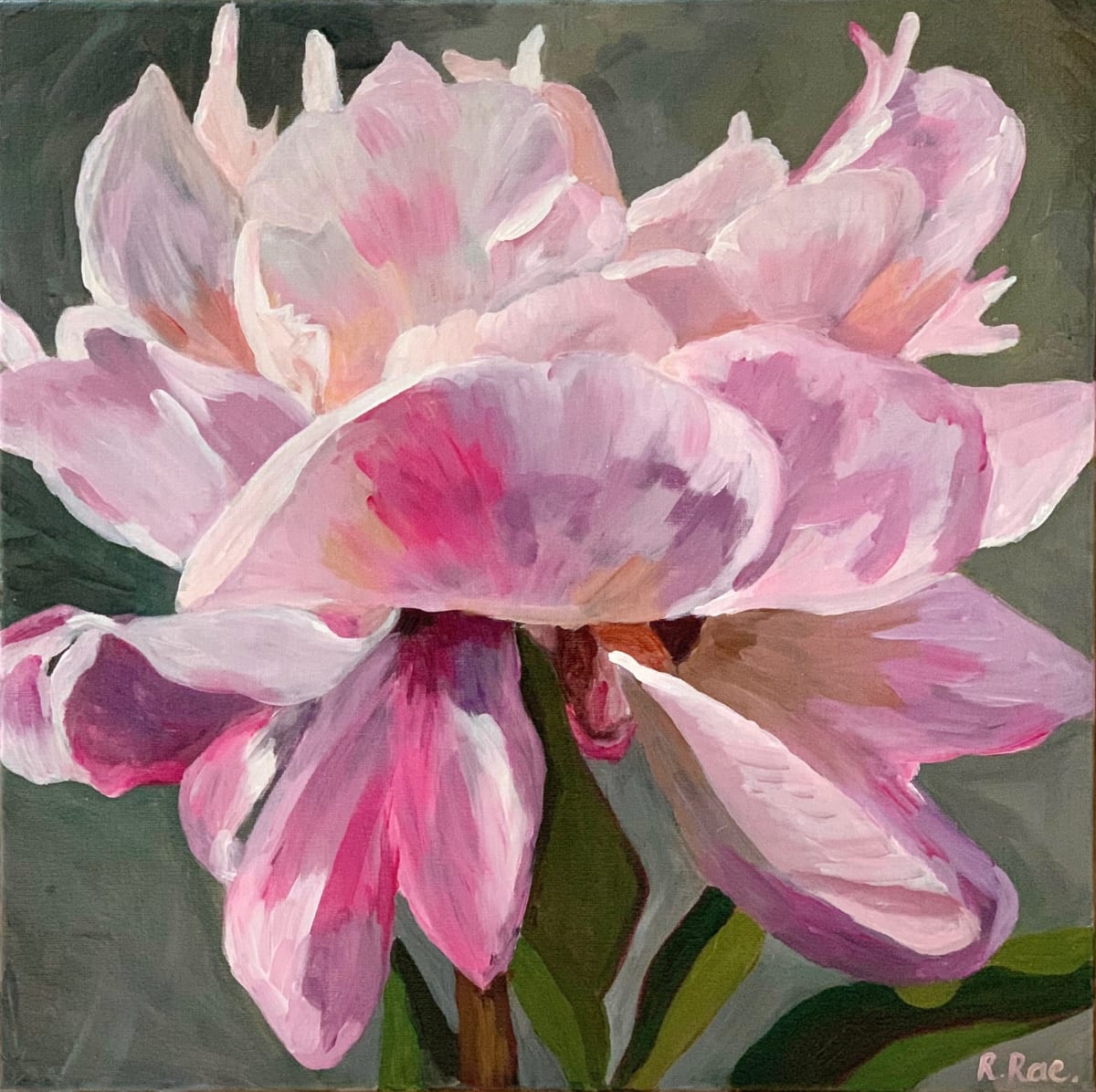 Pink Peony by Rachel Rae 