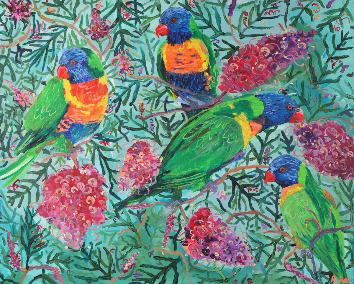 Rainbow Lorikeets in the Grevilleas by Rachel Rae 