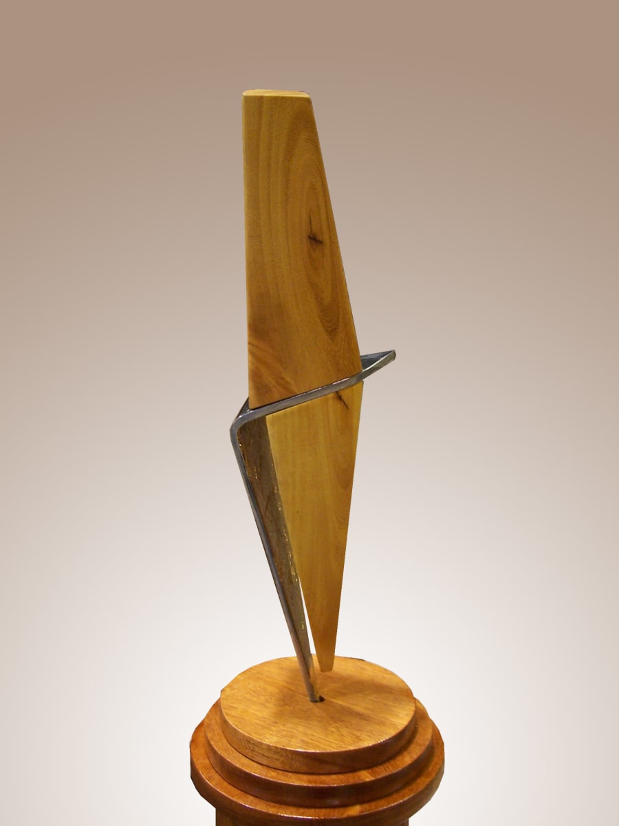 Sally's Wedge by Charles Wright  Image: Sally's Wedge (view7)