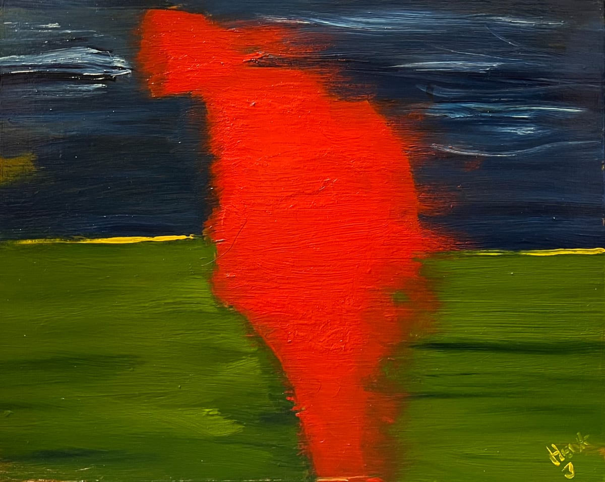 Hiker by Henk Jonker 