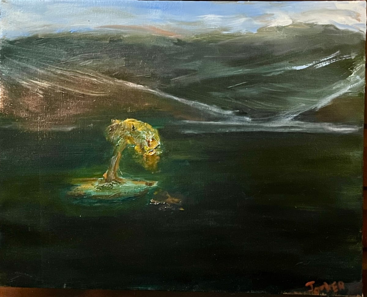 Island by Henk Jonker 