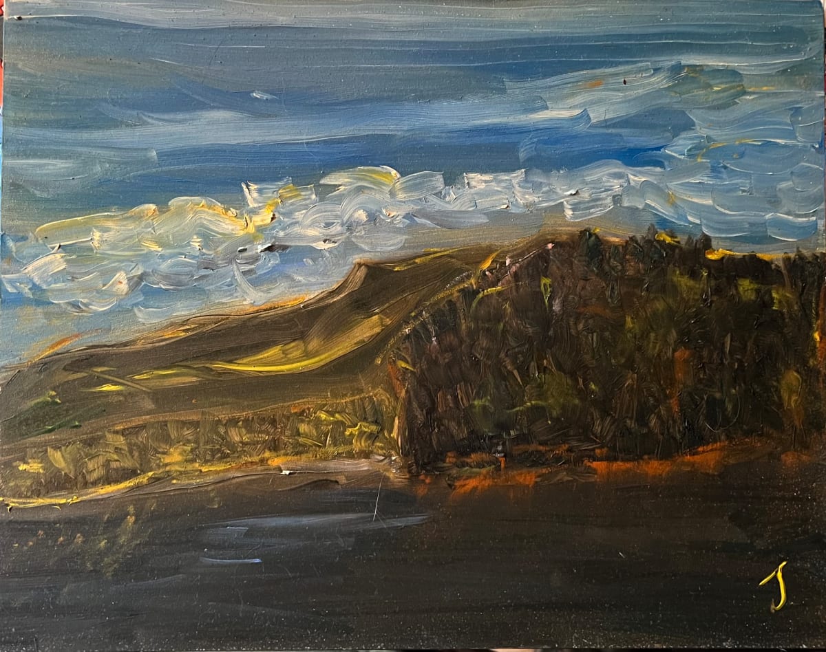 Lake Washining by Henk Jonker 